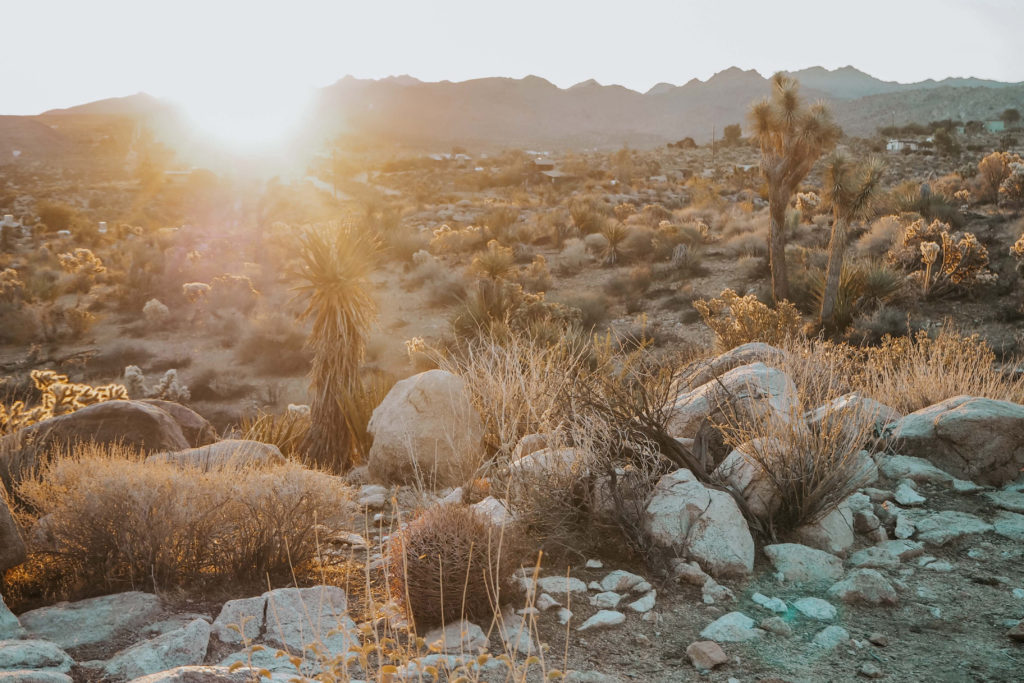 Sunrise in the desert landscape 