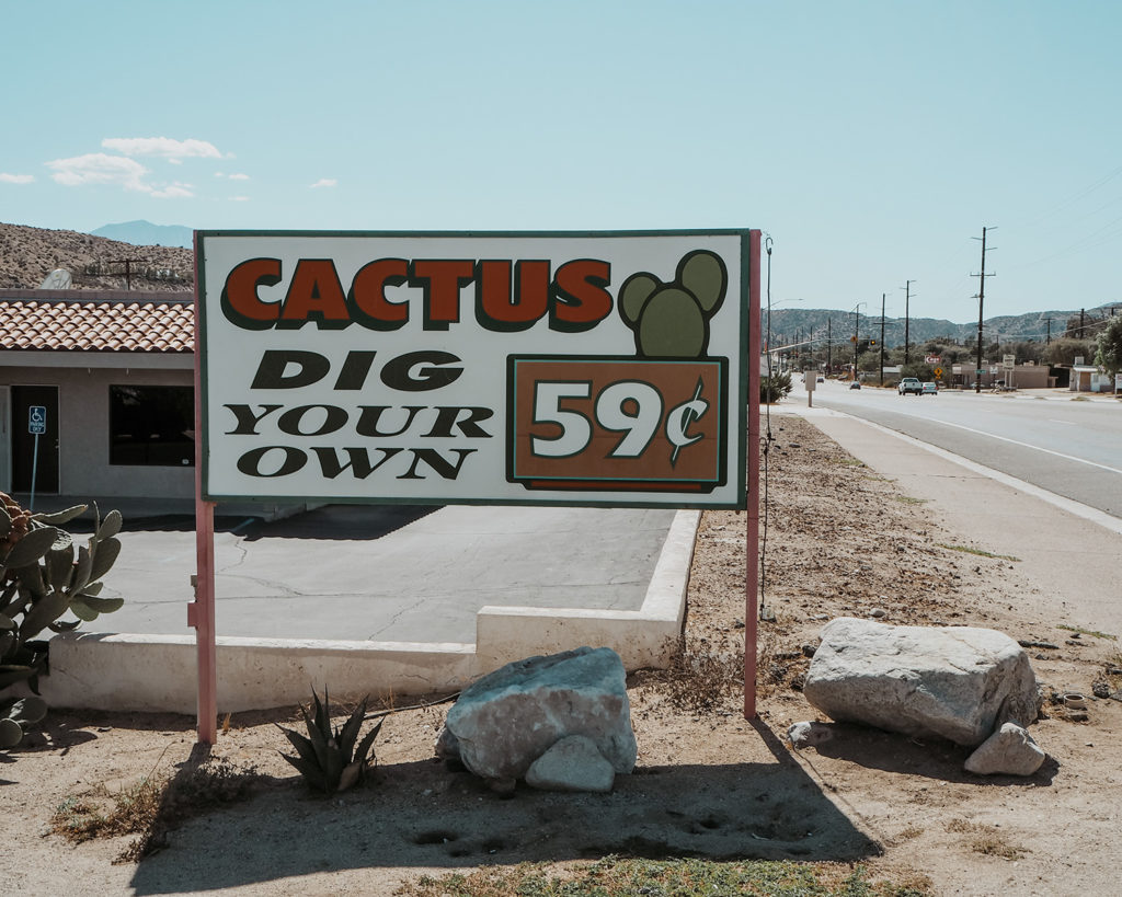 Visiting Joshua Tree stop by the Cactus Mart, pictured is a sign that says Dig your own Cactus