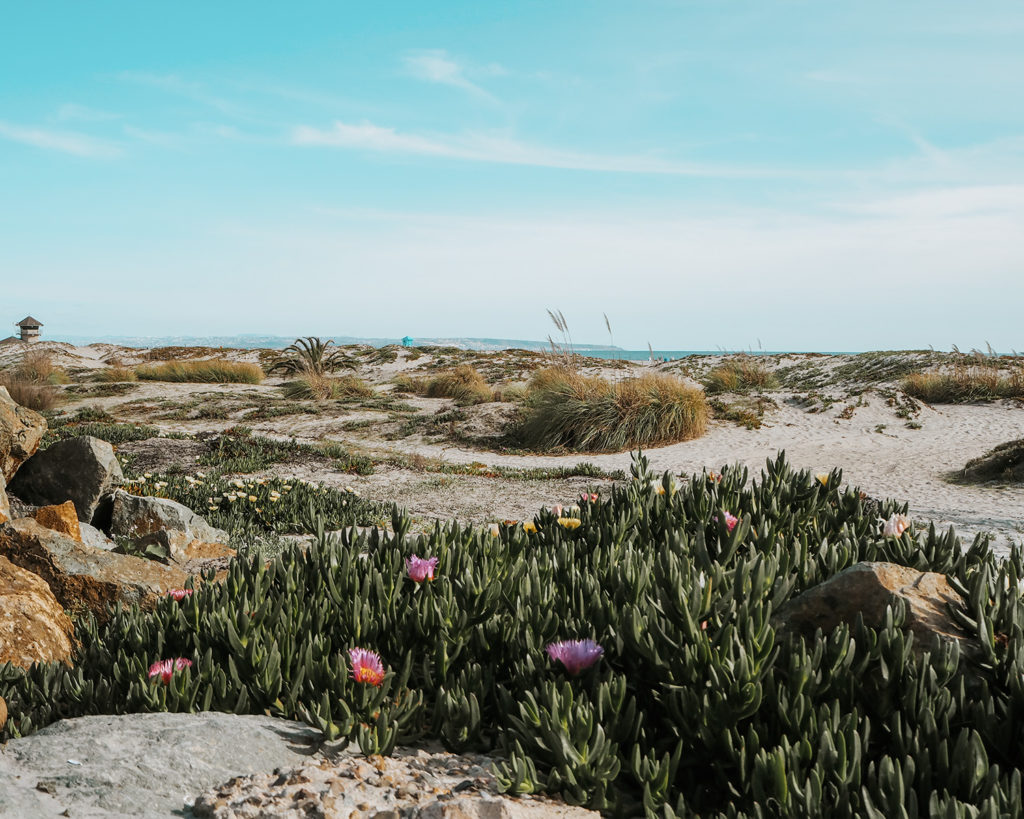 Most beautiful Beaches in California Coronado Beach View