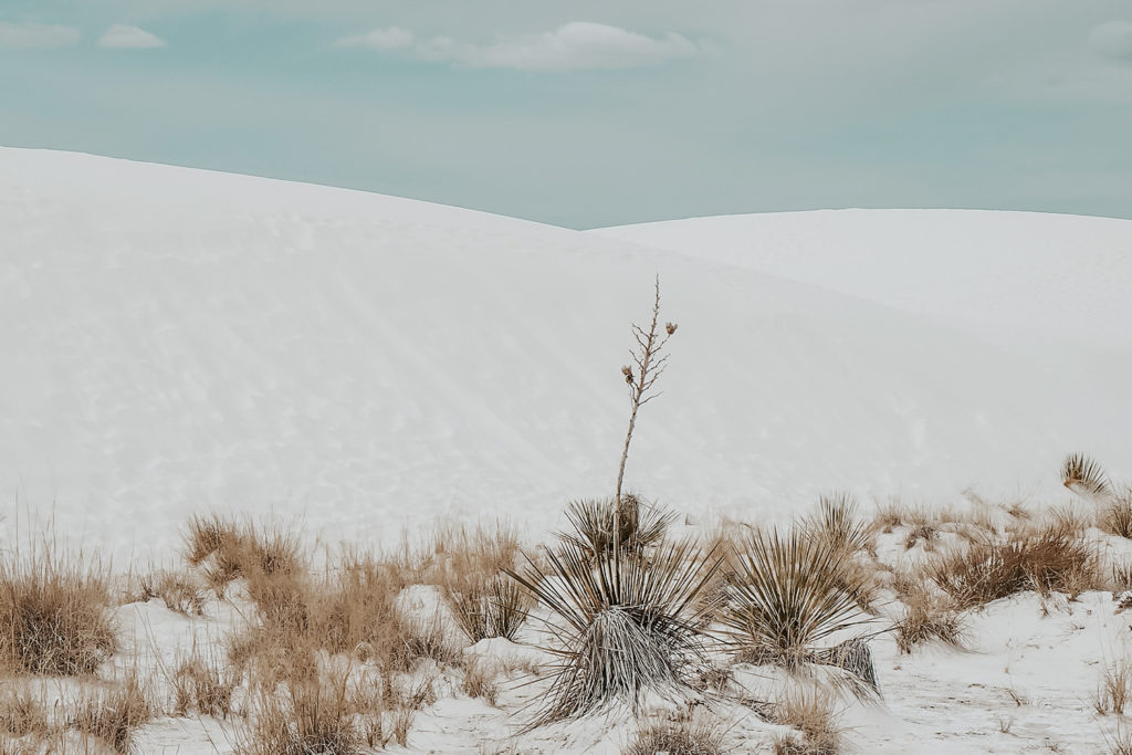 Must-Visit National Parks Southwest White Sands