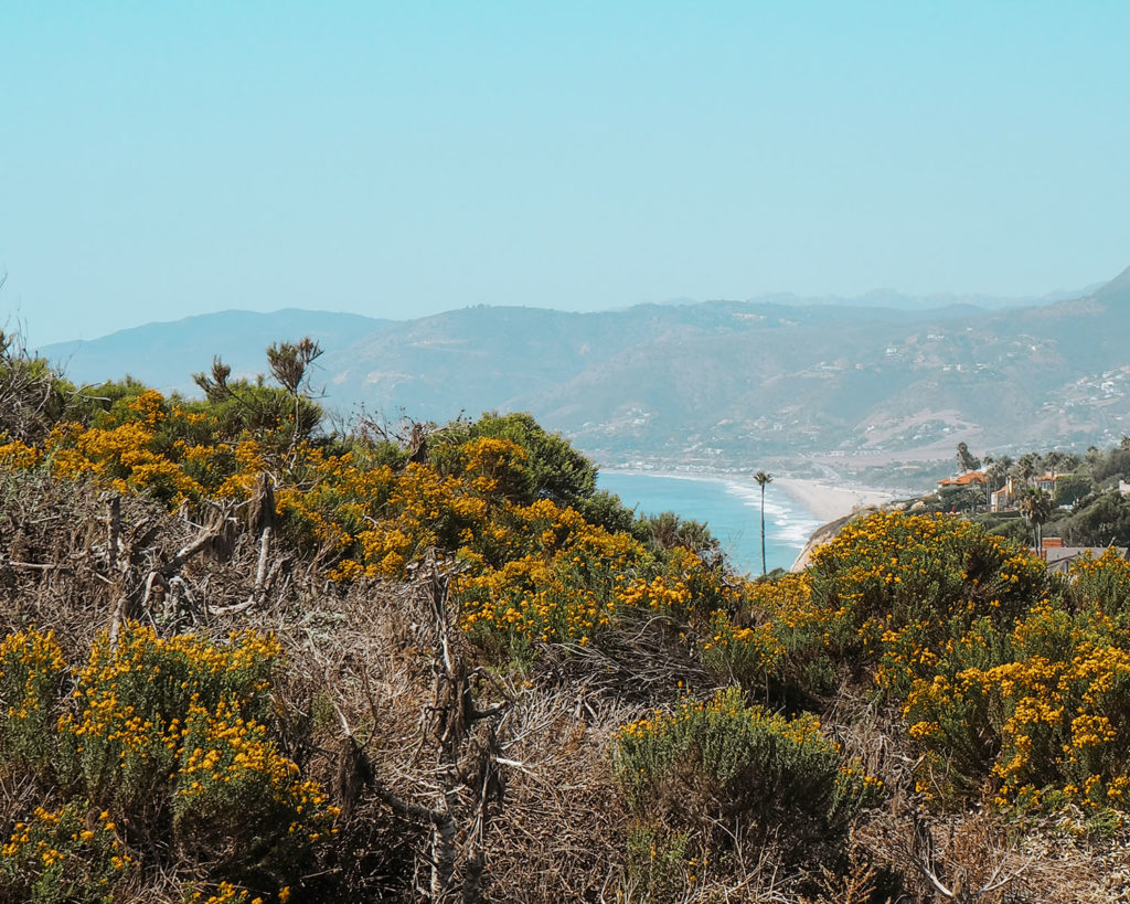 Point Dume most beautiful Beach in Southern California